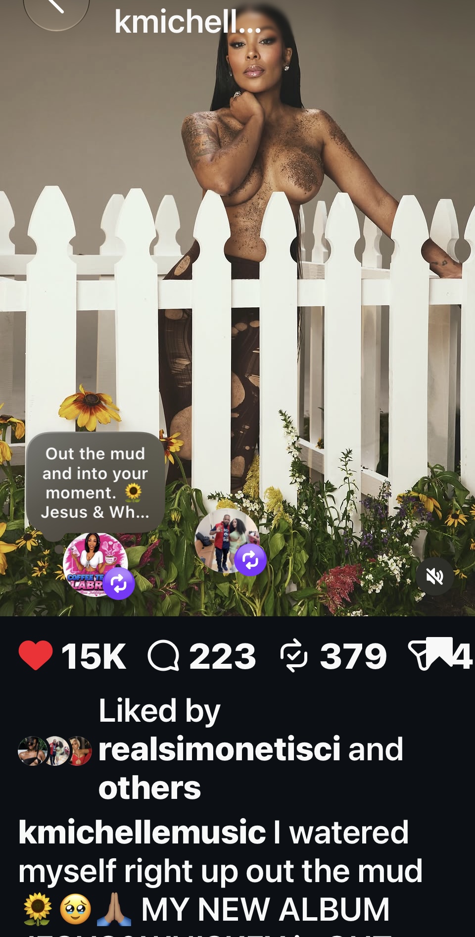 K. Michelle’s post showing her behind a white garden fence, with the caption: I watered myself right up out the mud